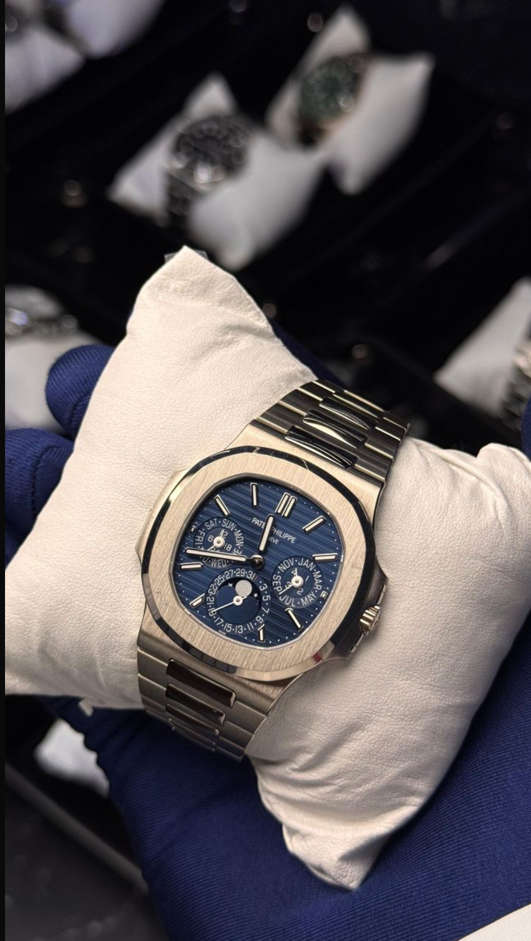 Audemars Piguet تركيب الحماية